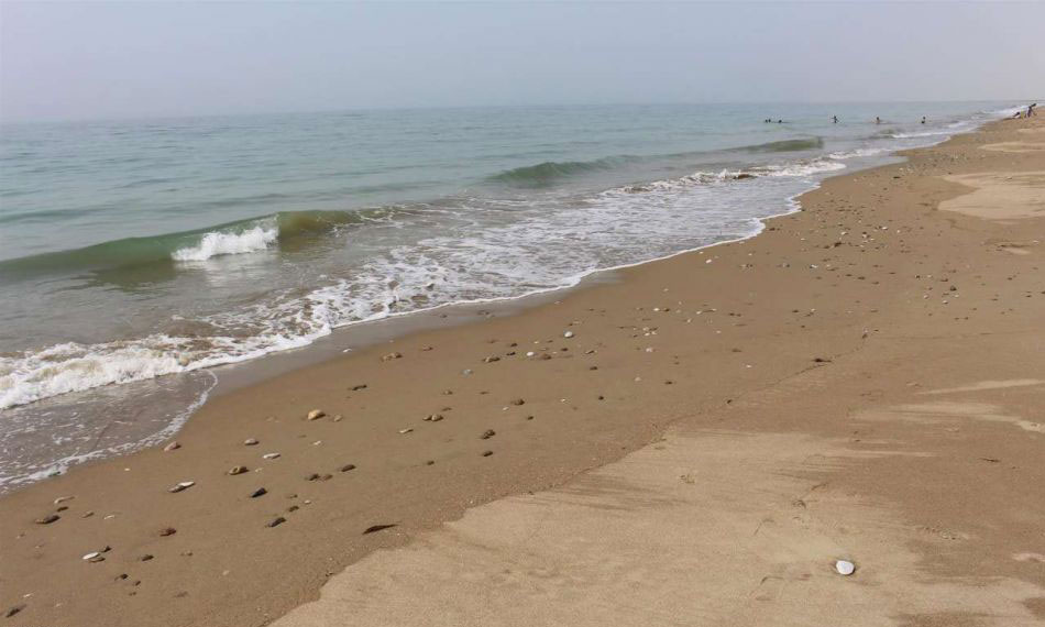 Darak Beaches of Konarak