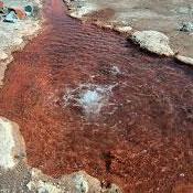 Qezel Dagh Mineral Water Spring, Azarshahr