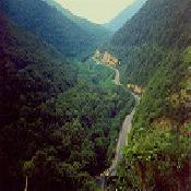 Makidi Forest Valley