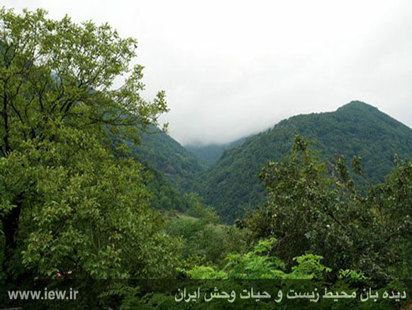 Arasbaran National Park