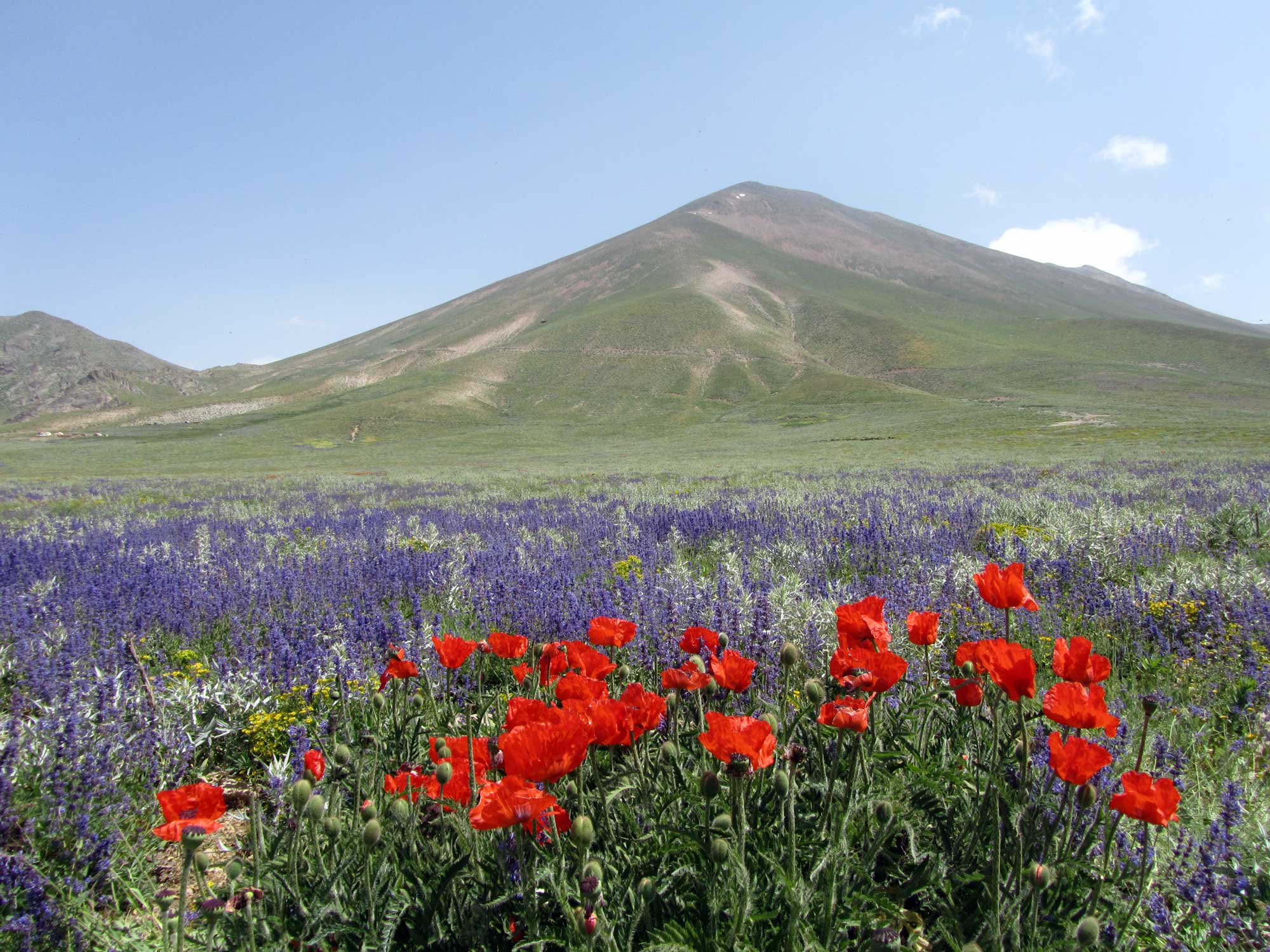 Sahand Mountains