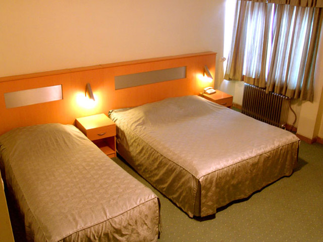 Arg Hotel Shiraz