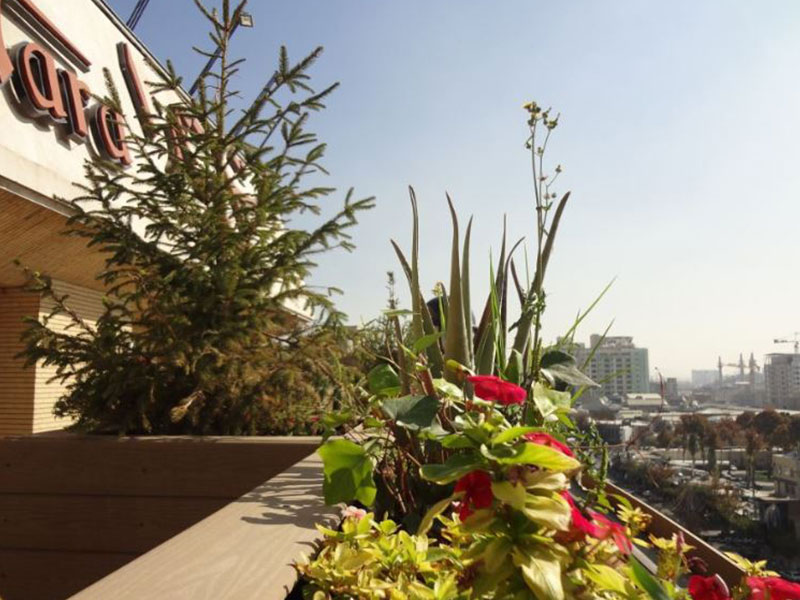 Tara Hotel Mashhad