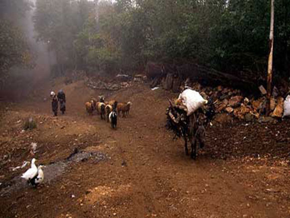 Astmal Village