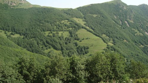 Astmal Village