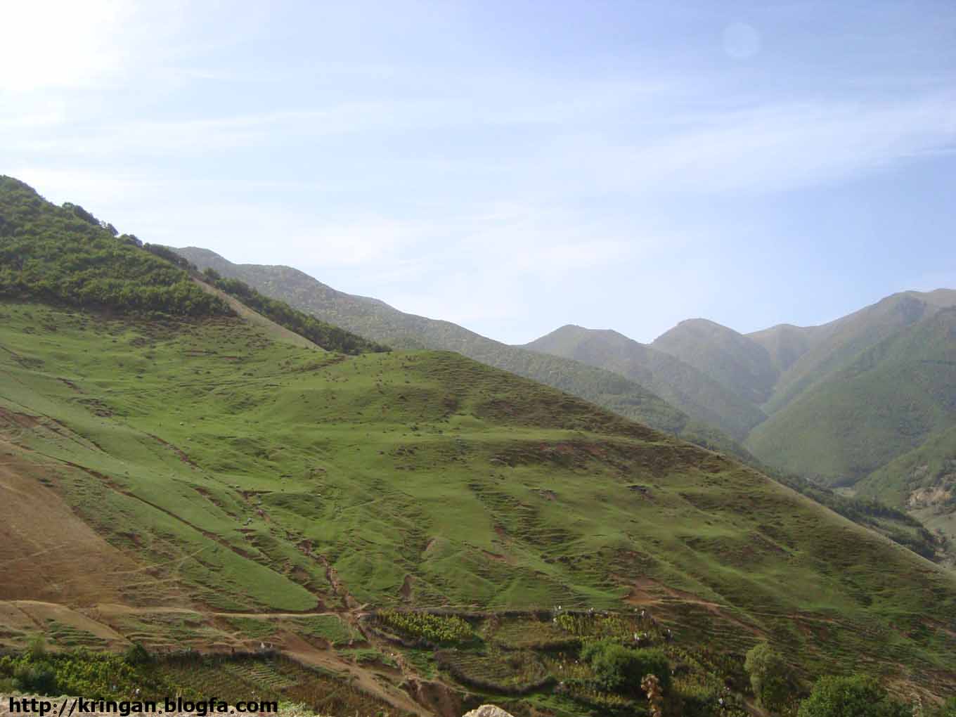 Kringan Village