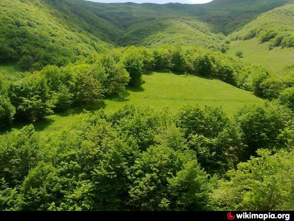 Chichekli Forest Area