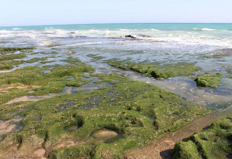 Chabahar Beautiful Beaches