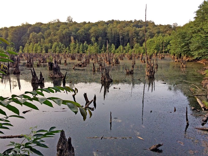 Ghost Lake