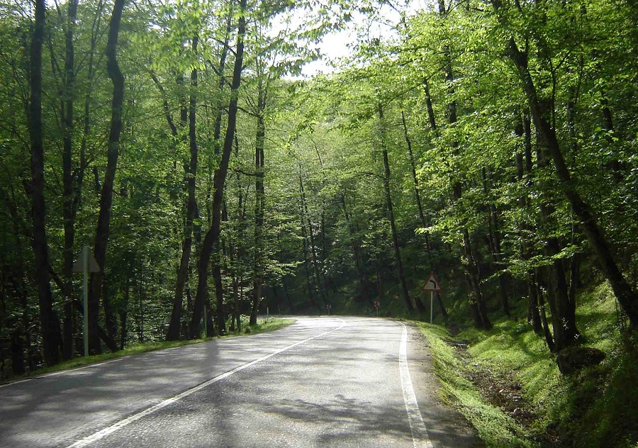 Dohezar forest of Tonekabon