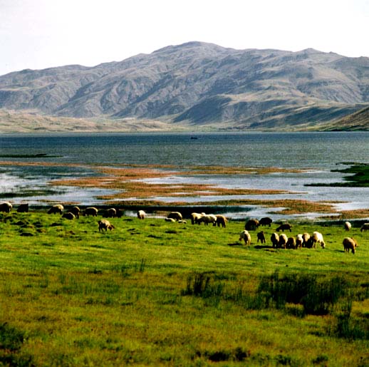 Gandoman Lagoon