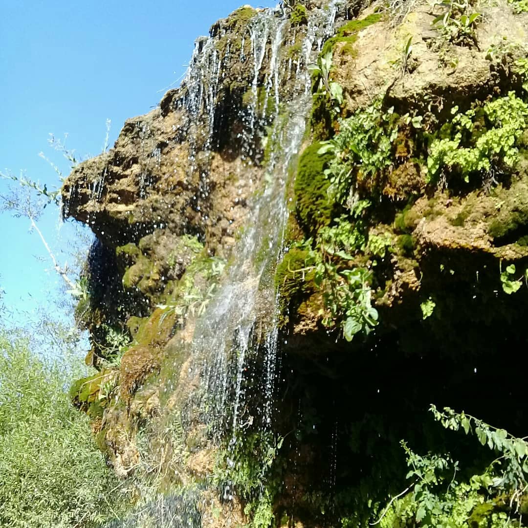 Sar Aqa Seyyed Village