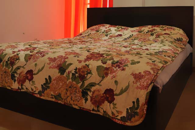 Sadaf Hotel Mahmudabad