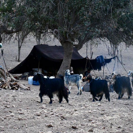 Bakhtiari Nomad’s Tour with a visit to Kul-e Farah